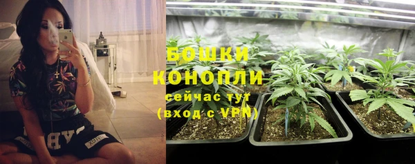 хмурый Нягань